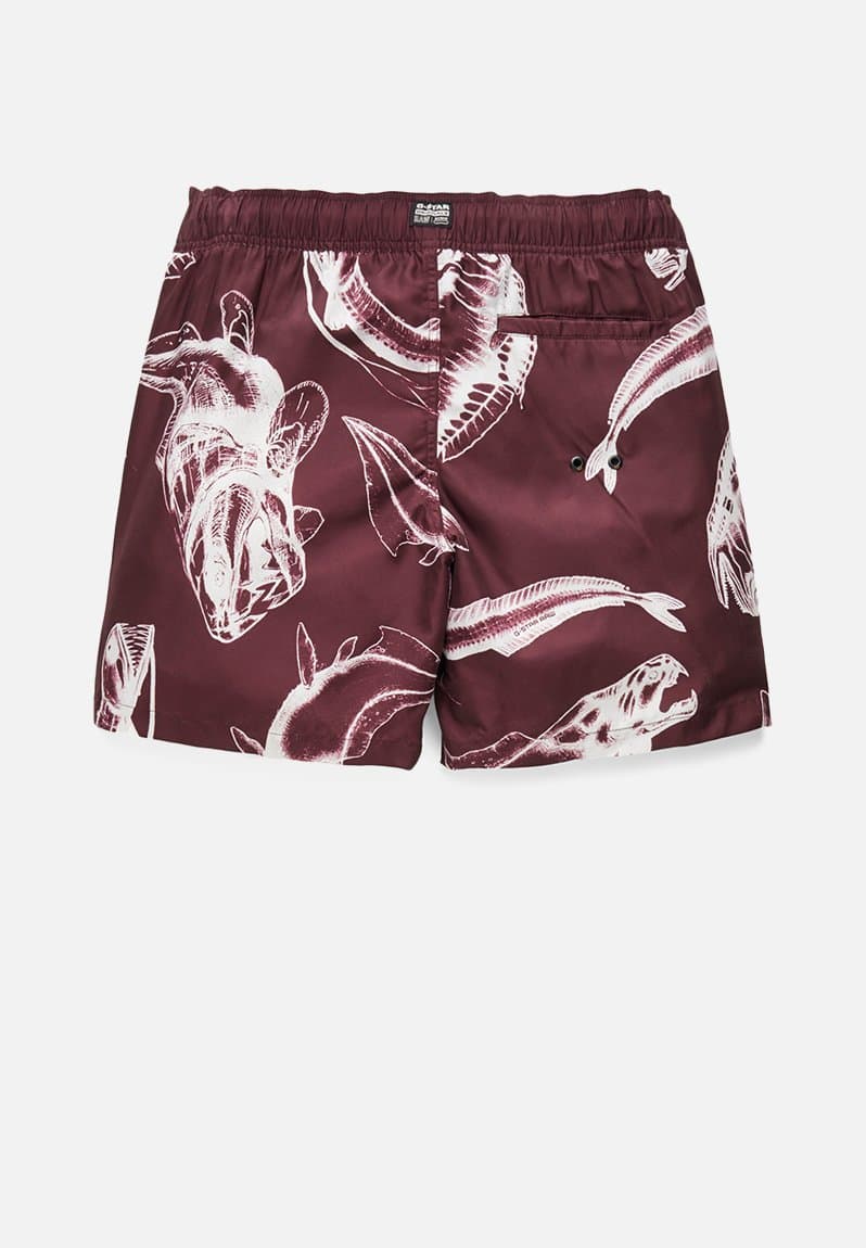 Dirik piranha swimshorts, view 2