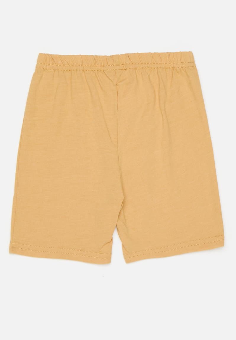 Shorts solar panel, view 2