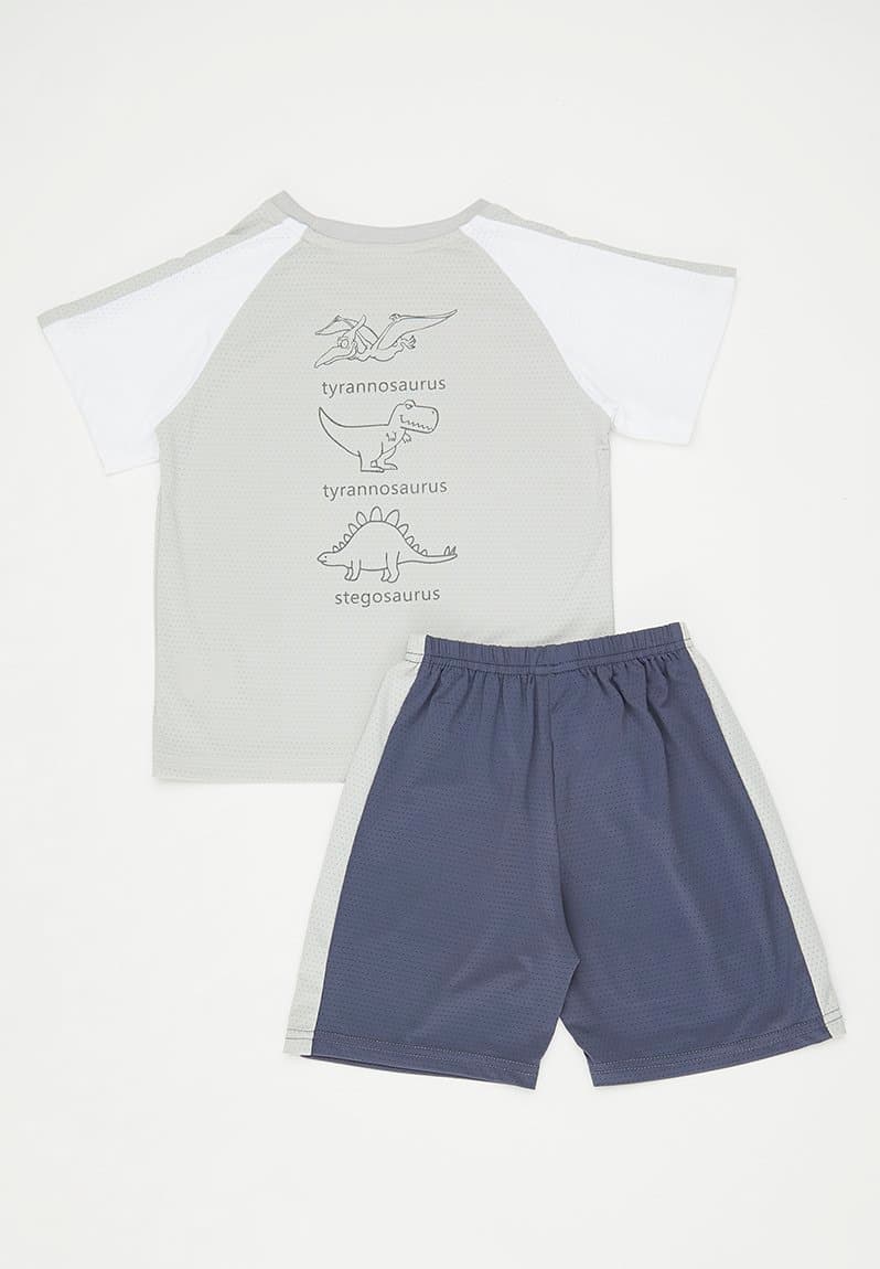 Tyrannosaurus placement print tee with shorts, view 2