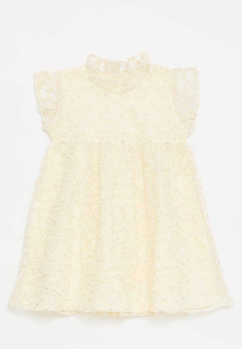 Lace Dress