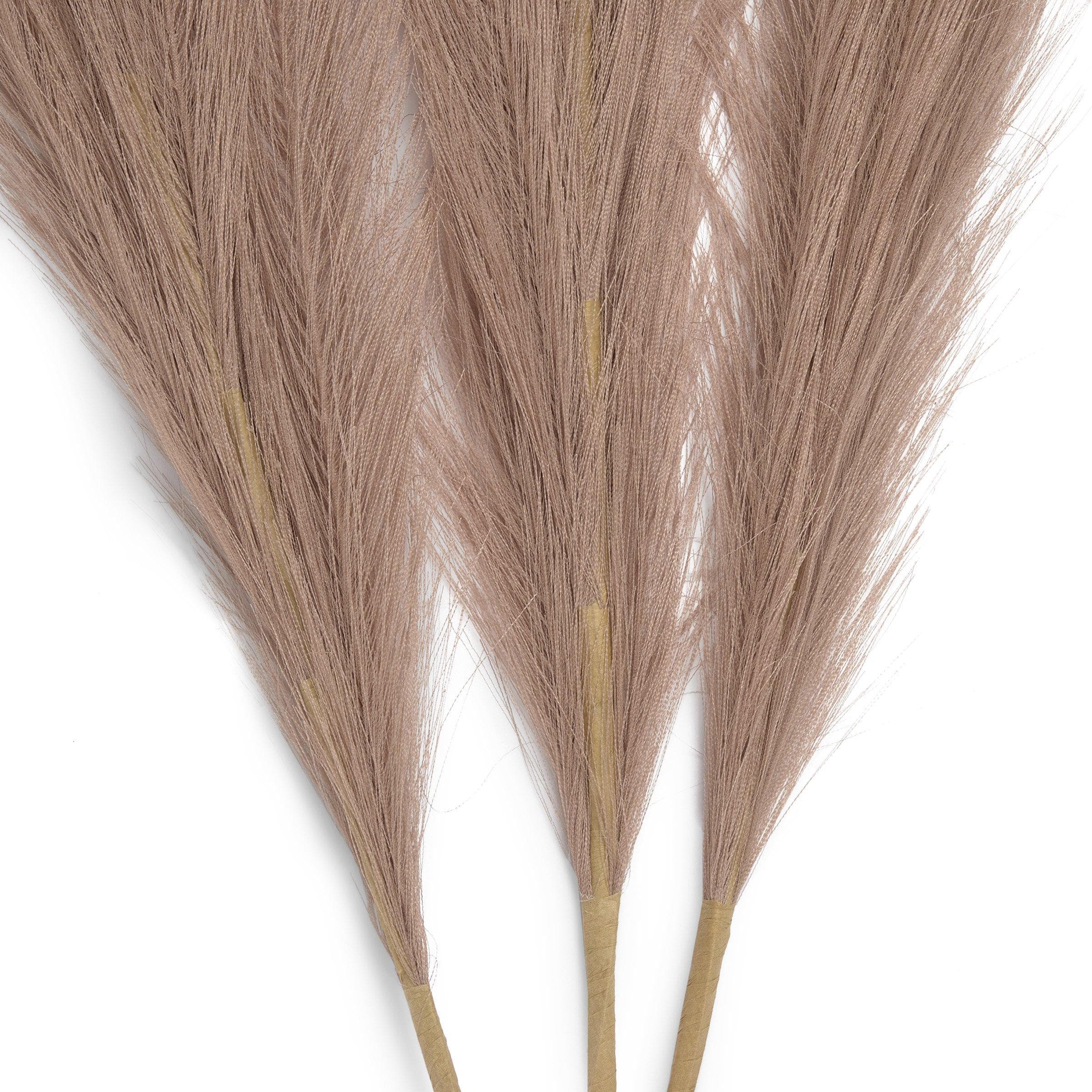Beige Pampas Set 80cm, view 2