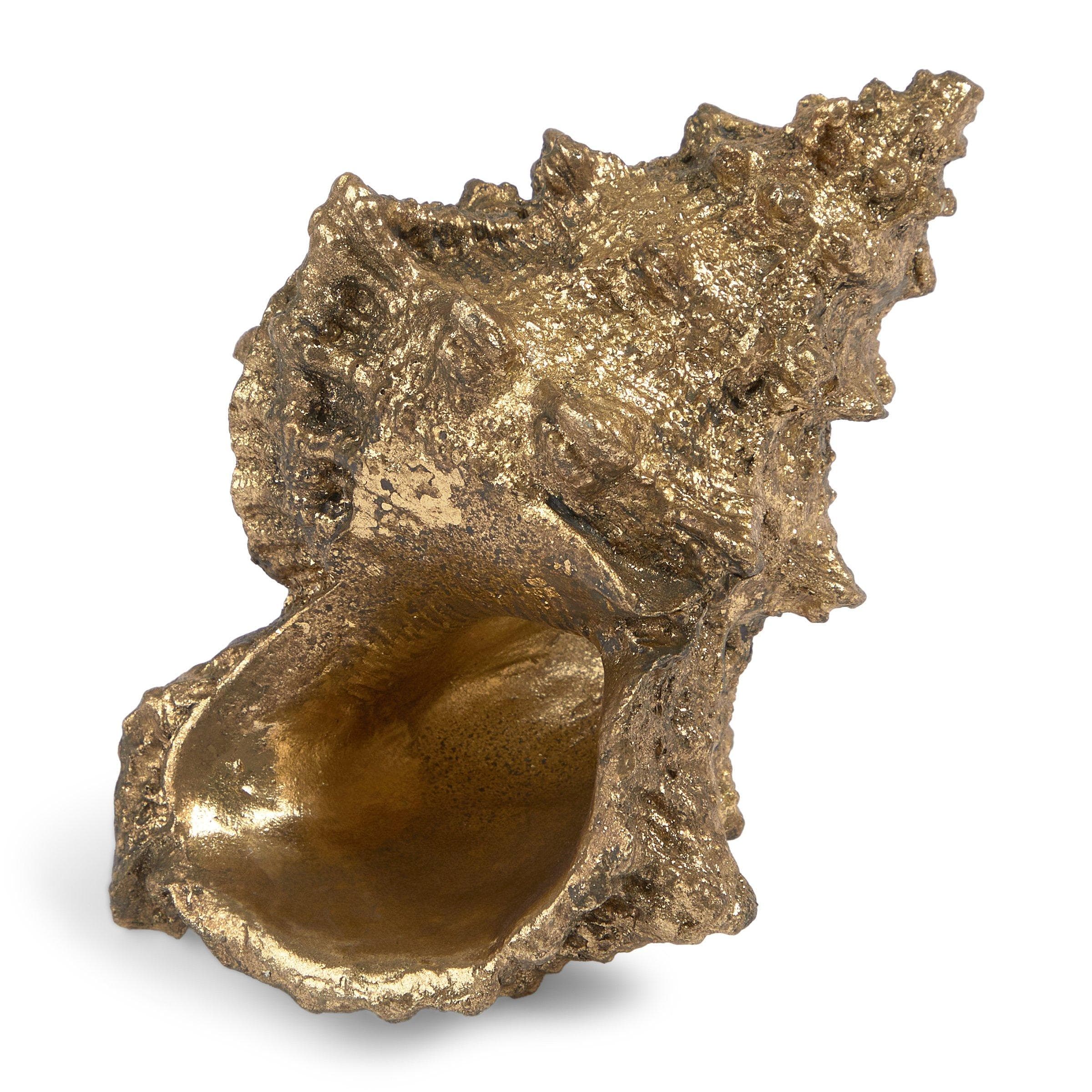Gold Shell, view 2